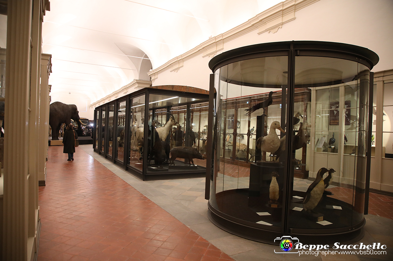 VBS_0986 - Riapre il Museo di Scienze Naturali dopo dieci anni di chiusura.jpg